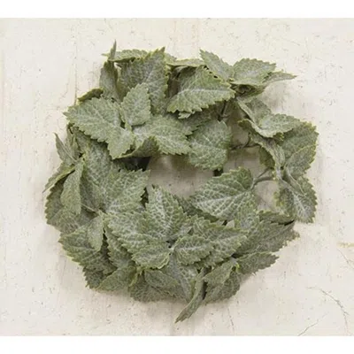 Homegifo Matte Mint Candle Ring 1" In Black