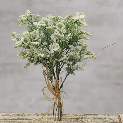 Homegifo Mini Baby's Breath Pick Cream 12" In Green