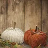 Homegifo Mini Chenille Pumpkin 2 Asstd.