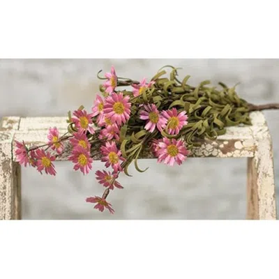Homegifo Mini Mountain Daisy Bush Pink