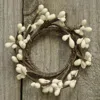 Homegifo Mini Pip Berry Ring Ivory 1.5"