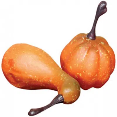 Homegifo Mini Pumpkin Bowl Filler In Orange