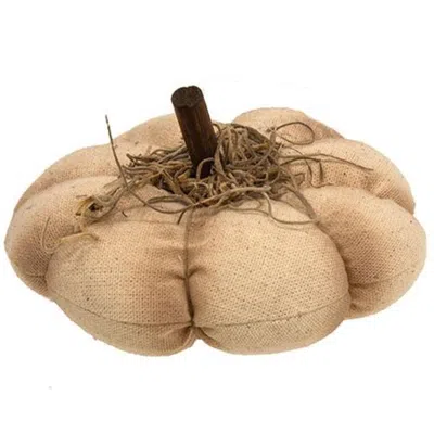 Homegifo Mossy Natural Pumpkin 4.5" In Neutral