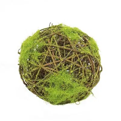 Homegifo Mossy Twig Ball 6" In Green