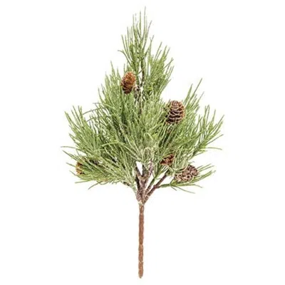 Homegifo Mugo Pine Pick In Green