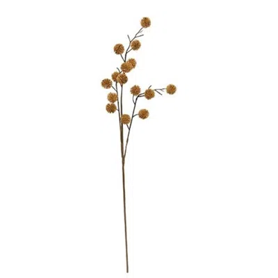 Homegifo Mustard Thistle Pods Spray In Brown
