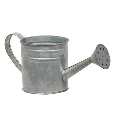 Homegifo Natural Zinc Watering Can In Gray