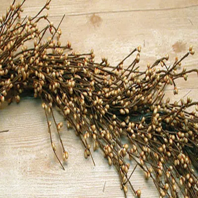 Homegifo Old Gold Pip Garland 4 Ft. In Multi