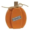 Homegifo Orange Autumn Pumpkin Chunky Sitter