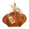 Homegifo *orange Burlap Patches Pumpkin 15"
