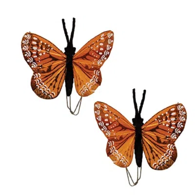 Homegifo Orange Butterfly Floral Pick 2 Asstd. *must Order In Multiples Of 12* In Brown