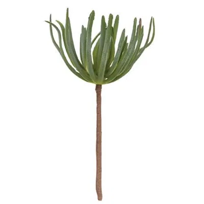 Homegifo Palm Succulent In Green