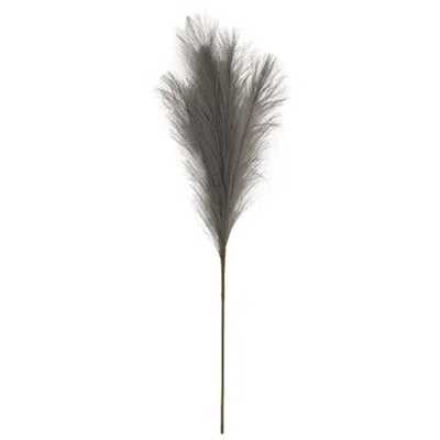Homegifo *pampas Grass Pick 28" Gray
