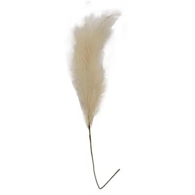Homegifo *pampas Grass Spray 45" Cream In Brown