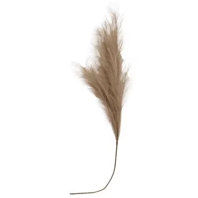 Homegifo *pampas Grass Spray 45" Taupe In Burgundy