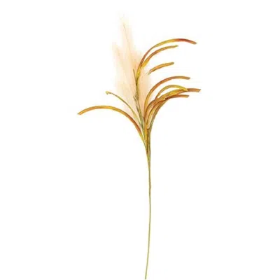 Homegifo *pampas Spray Natural 31" In Multi