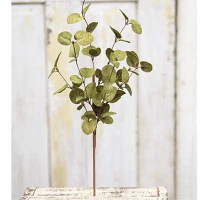Homegifo Penny Leaf Pick Dark Green 18"