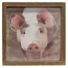Homegifo Pig Portrait Framed Print Wood Frame