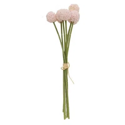 Homegifo *pink Billy Ball Bouquet