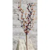 Homegifo Pip Berry Pick Colonial Mix 12"