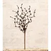 Homegifo Pip Berry Pick Gray & Black 12"
