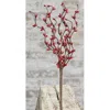 Homegifo Pip Berry Pick Red 12"