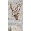 Homegifo Pip Berry Pick Teastain 12"