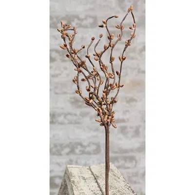 Homegifo Pip Berry Pick Teastain 12" In Brown