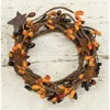 Homegifo Pip Berry Ring With Stars Primitive Mix 2"