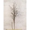Homegifo Pip Berry Spray 26" Farmhouse Mix