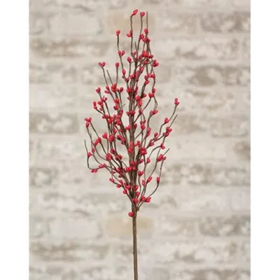 Homegifo Pip Berry Spray 26" Red