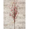 Homegifo Pip Berry Spray 26" Red/green