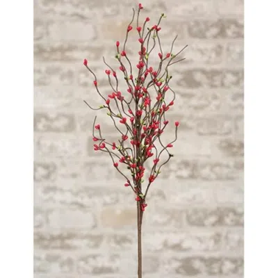 Homegifo Pip Berry Spray 26" Red/green