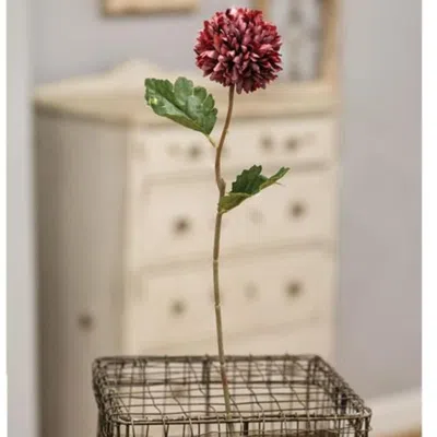 Homegifo Pompom Flower Stem 14" - Dark Mauve In Red