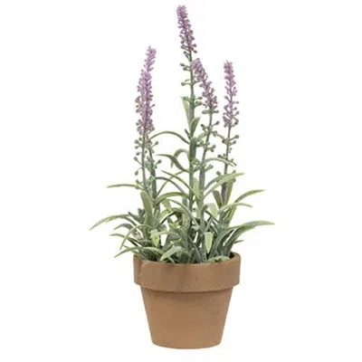 Homegifo Potted Flowering Sage Purple