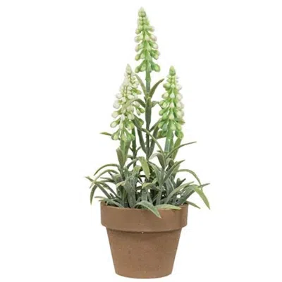 Homegifo Potted Mountain Bells White In Green