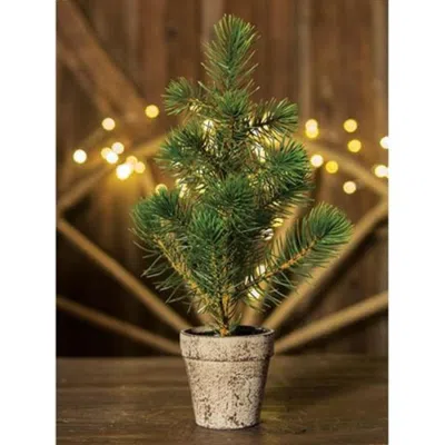 Homegifo Potted Sierra Pine Tree In Green