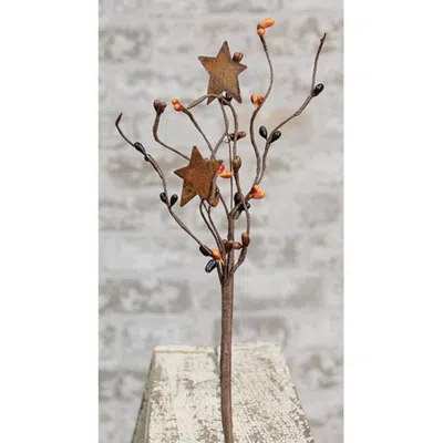 Homegifo Primitive Mix Pip & Star Pick 12" In Brown