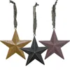 Homegifo Primitive Star Ornament 4.5" 3 Asstd.