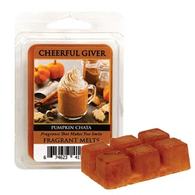 Homegifo Pumpkin Chata Wax Melts In Orange
