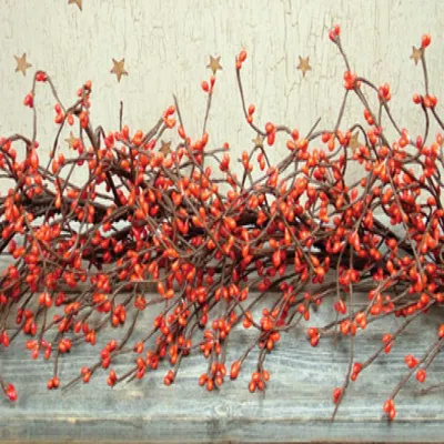 Homegifo Pumpkin Pip Berry Garland In Brown