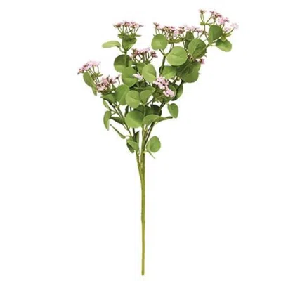 Homegifo *queen Ann's Lace Spray Pink In Green