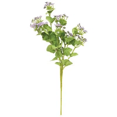 Homegifo *queen Ann's Lace Spray Purple In Green