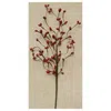 Homegifo Red Bean Berry Pick