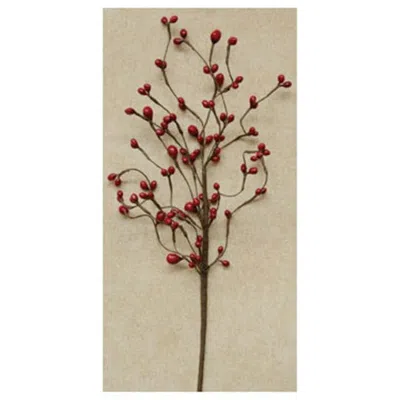 Homegifo Red Bean Berry Pick