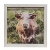Homegifo Red Cow Framed Portrait