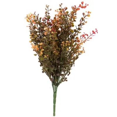 Homegifo Red Peppergrass Spray 14" In Multi