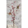 Homegifo Red Pip & Star Pick 12"