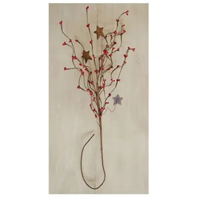 Homegifo Red Pip & Star Spray 24"