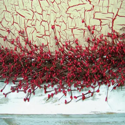 Homegifo Red Pip Garland 4 Ft.